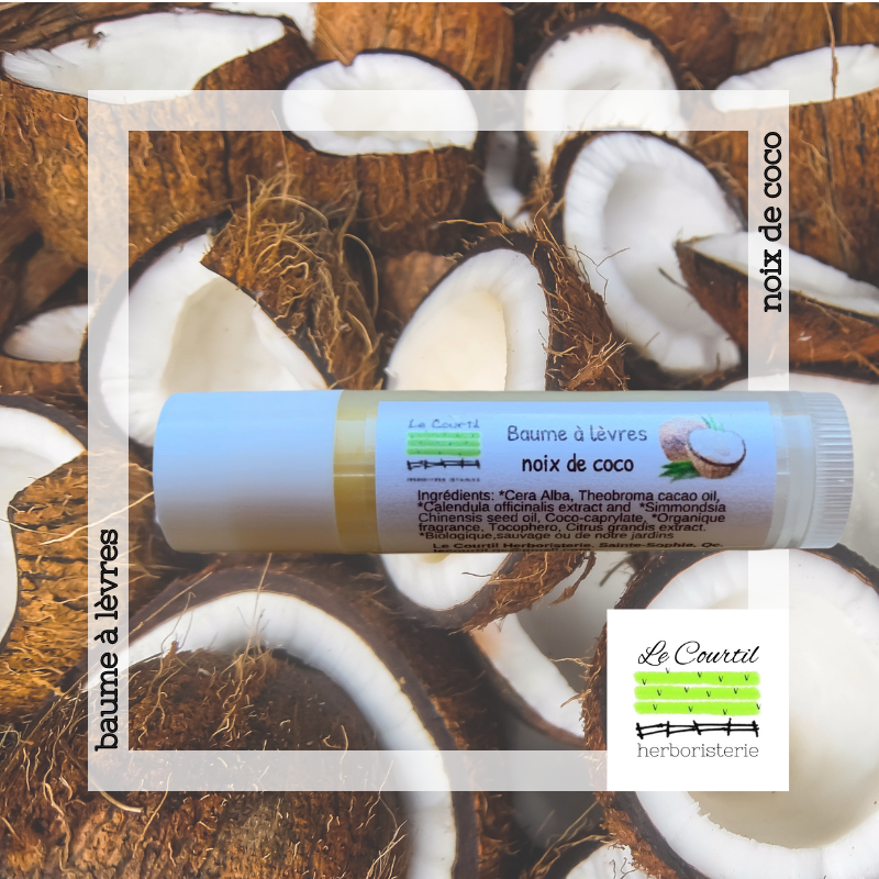 Baume à lèvres - Noix de coco