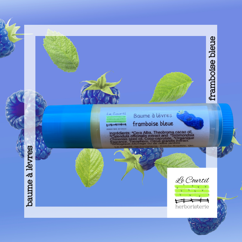 Baume à lèvres - Framboise bleue