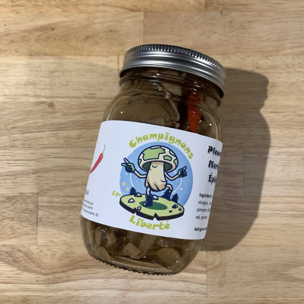 Pleurotes marinées épicées 500 ml