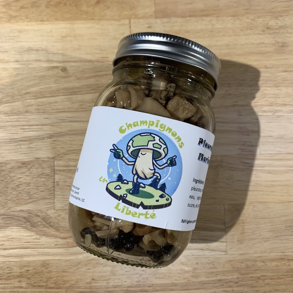 Pleurotes marinées 500 ml