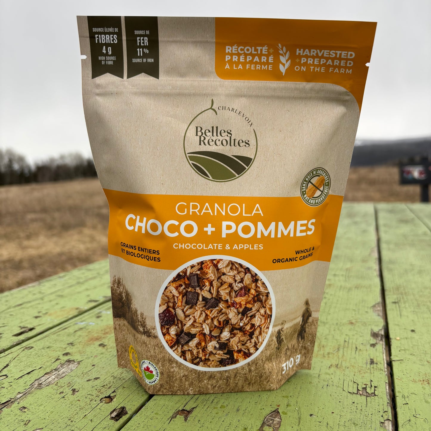 Granola choco-pommes-canneberges biologique 310g
