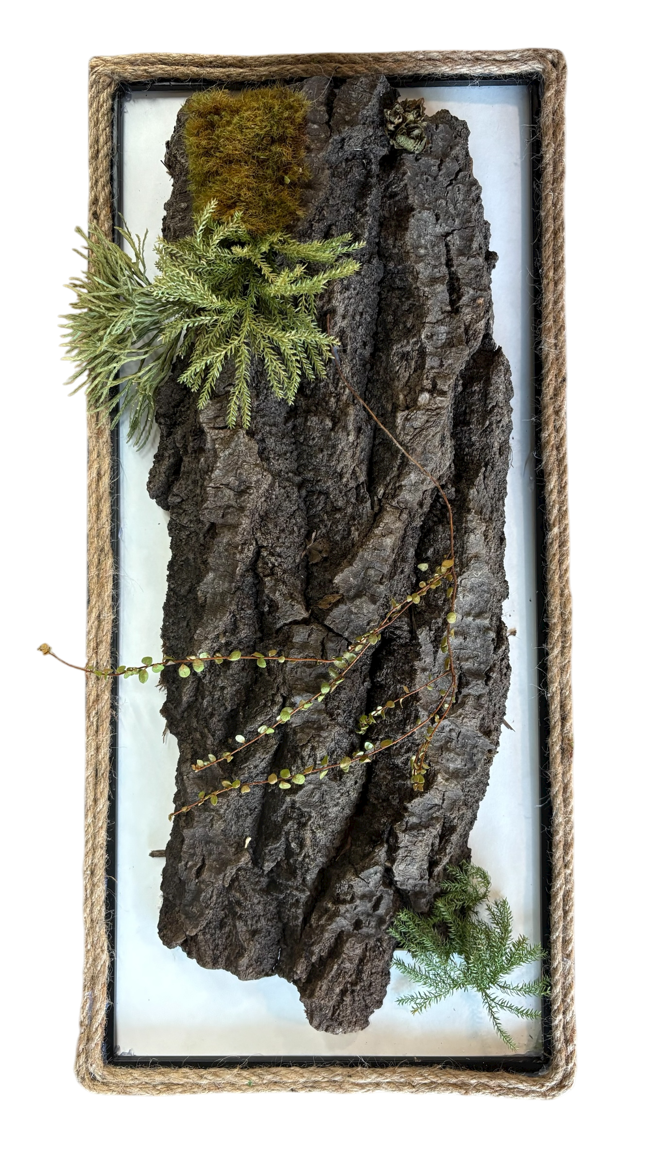 Cadre végétal - Bord du lac