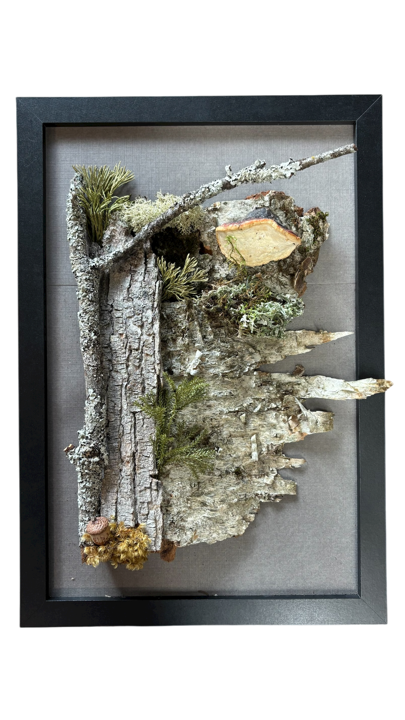 Cadre végétal - Douceur