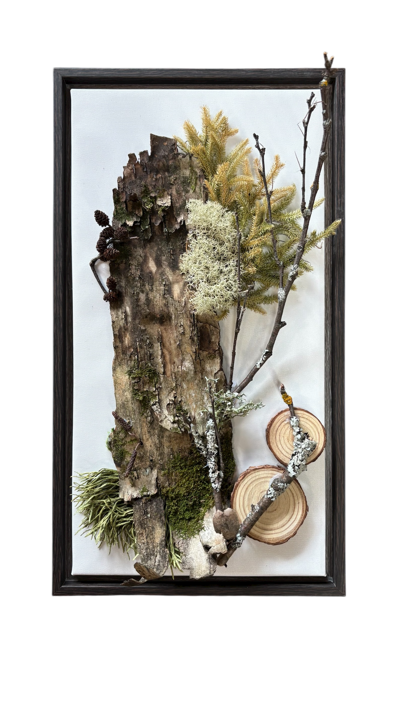 Cadre végétal - Sauvage