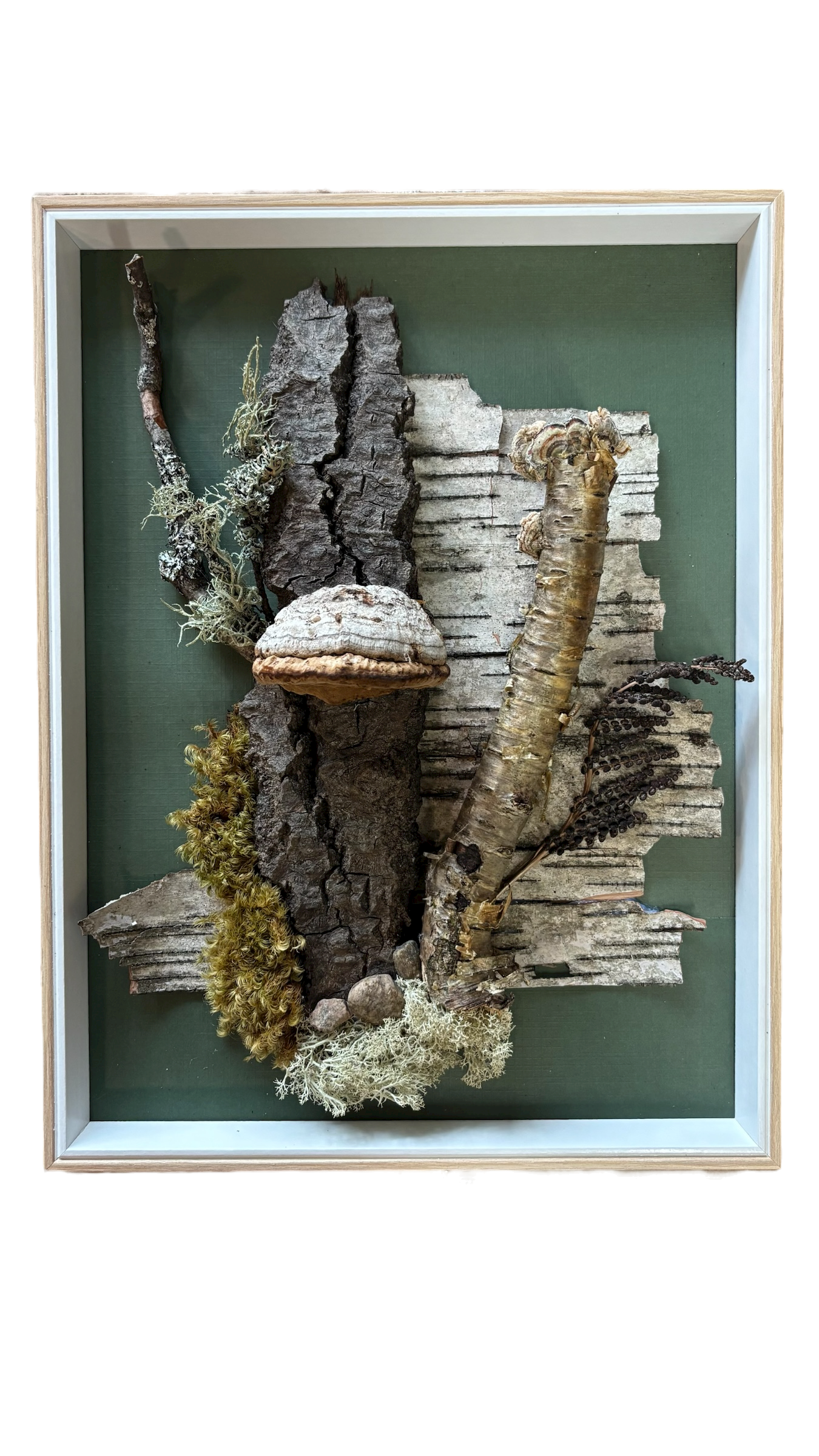 Cadre végétal - Symphonie