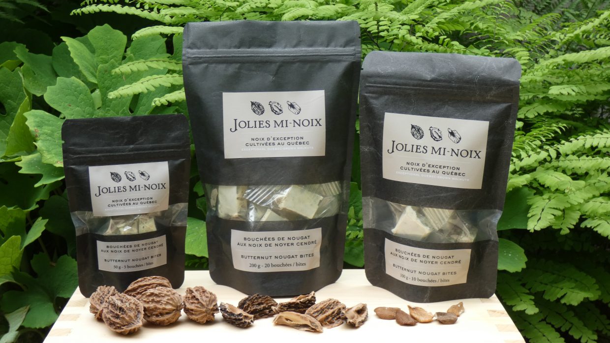 Bouchée de nougat aux noix de noyer cendré 50g