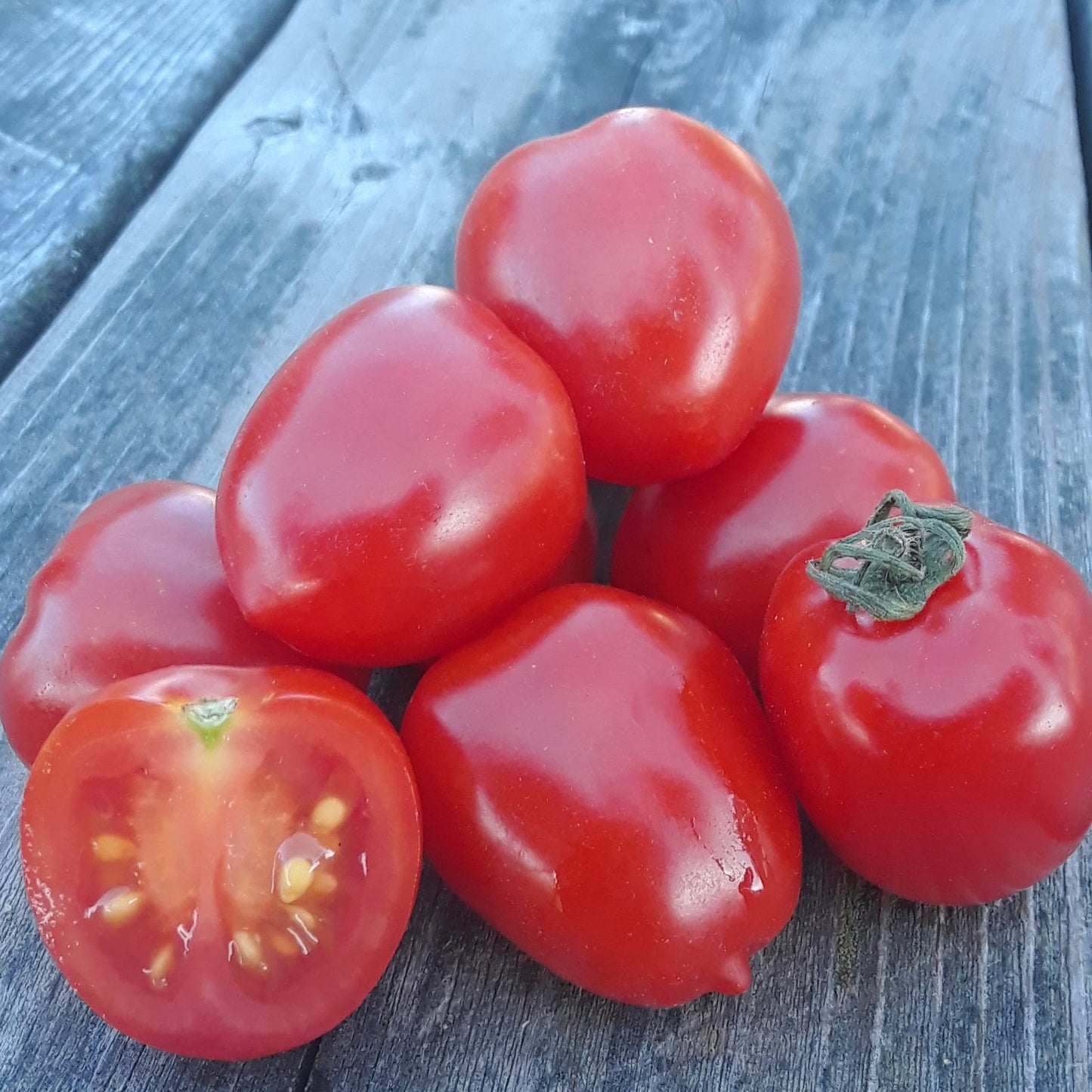 Tomate cerise Sweetheart – Bio