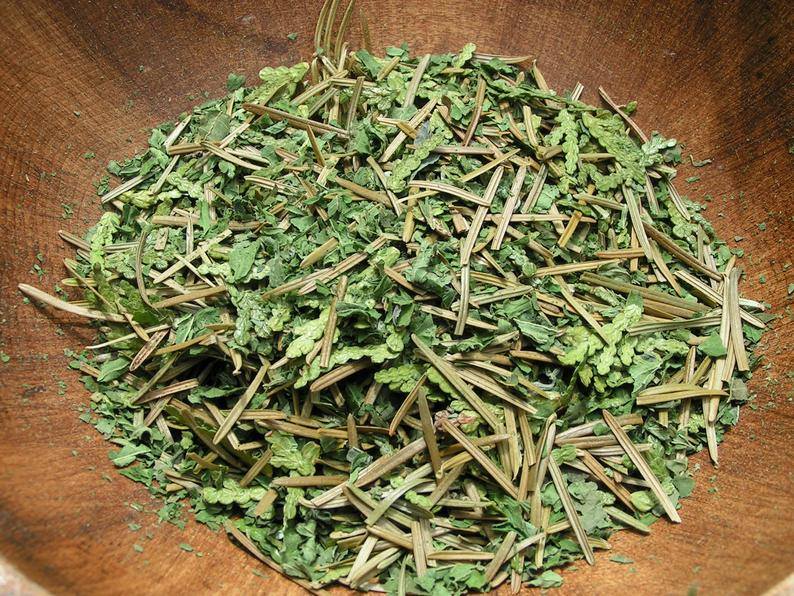 Tisane Sorcière des bois