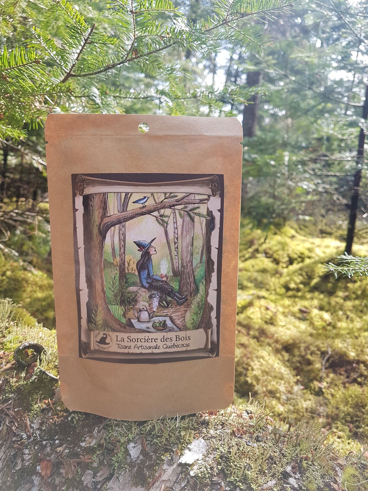 Tisane Sorcière des bois
