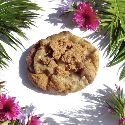 Biscuit Key lime pie