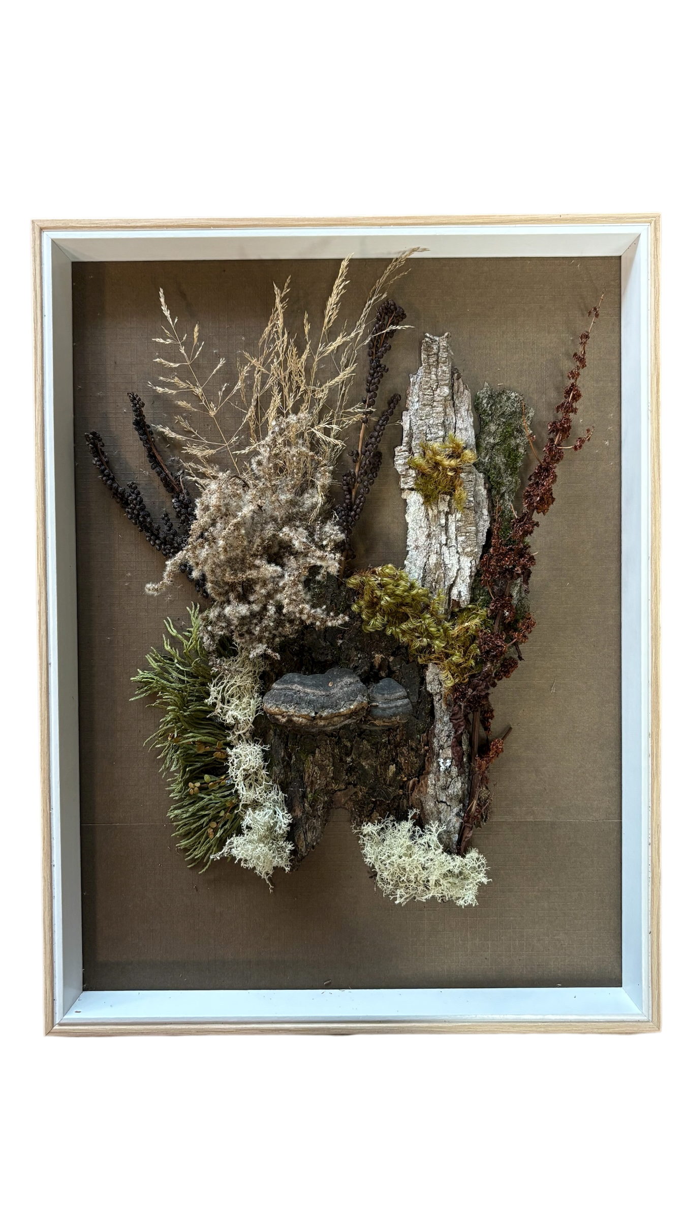 Cadre végétal - Doris