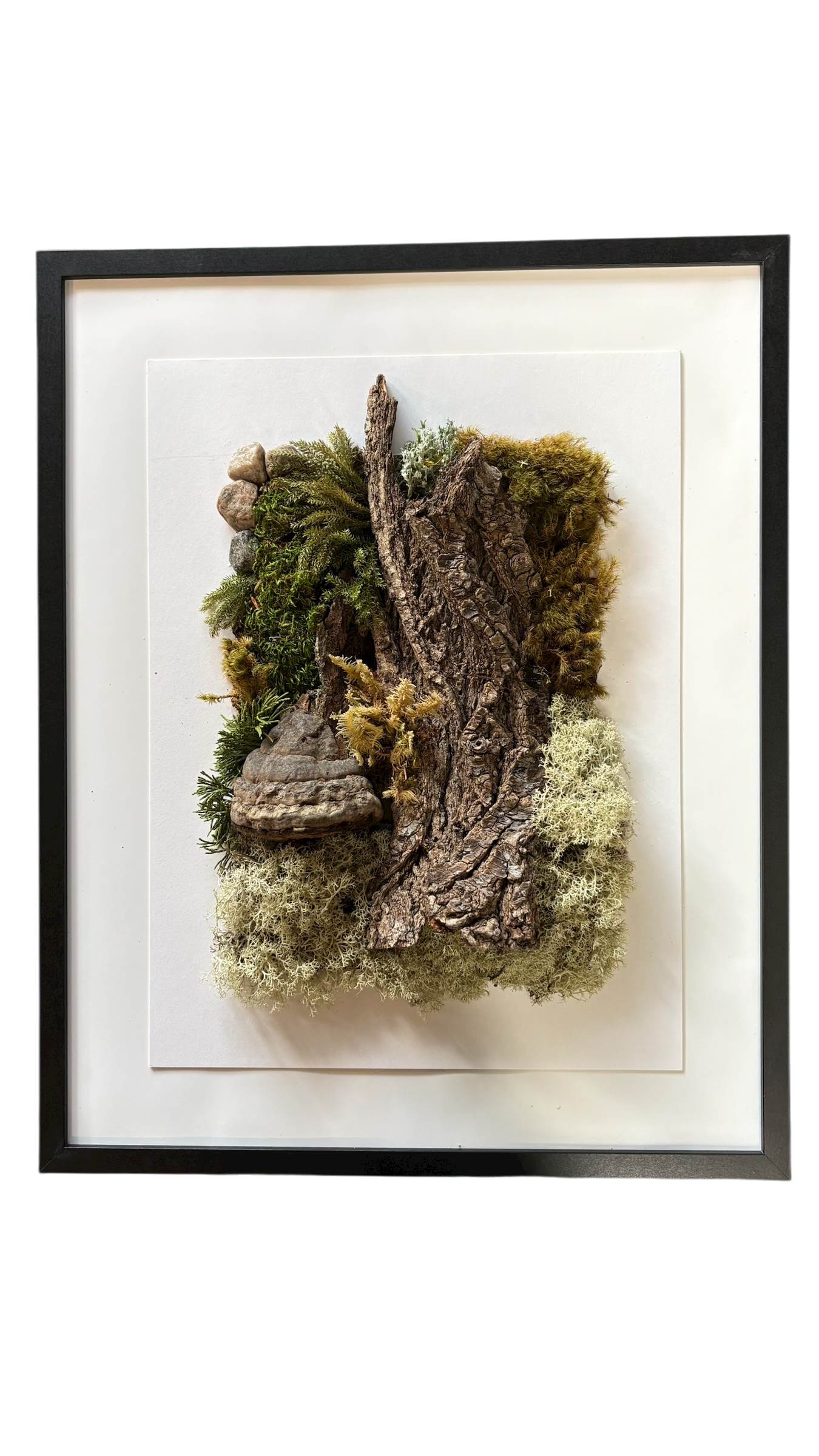 Cadre végétal - Harmonie