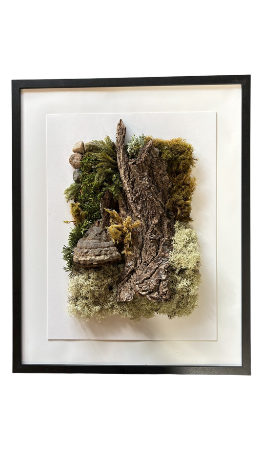 Cadre végétal - Harmonie