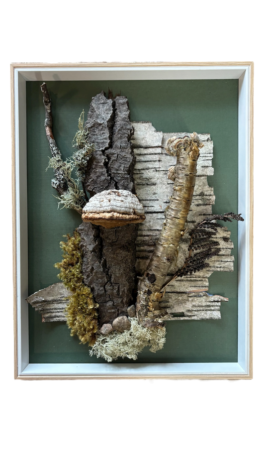 Cadre végétal - Symphonie