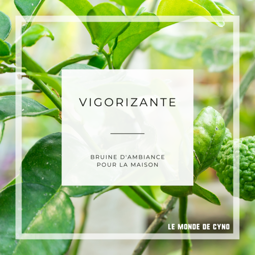 Bruine d'ambiance - Vigorizante 50ml