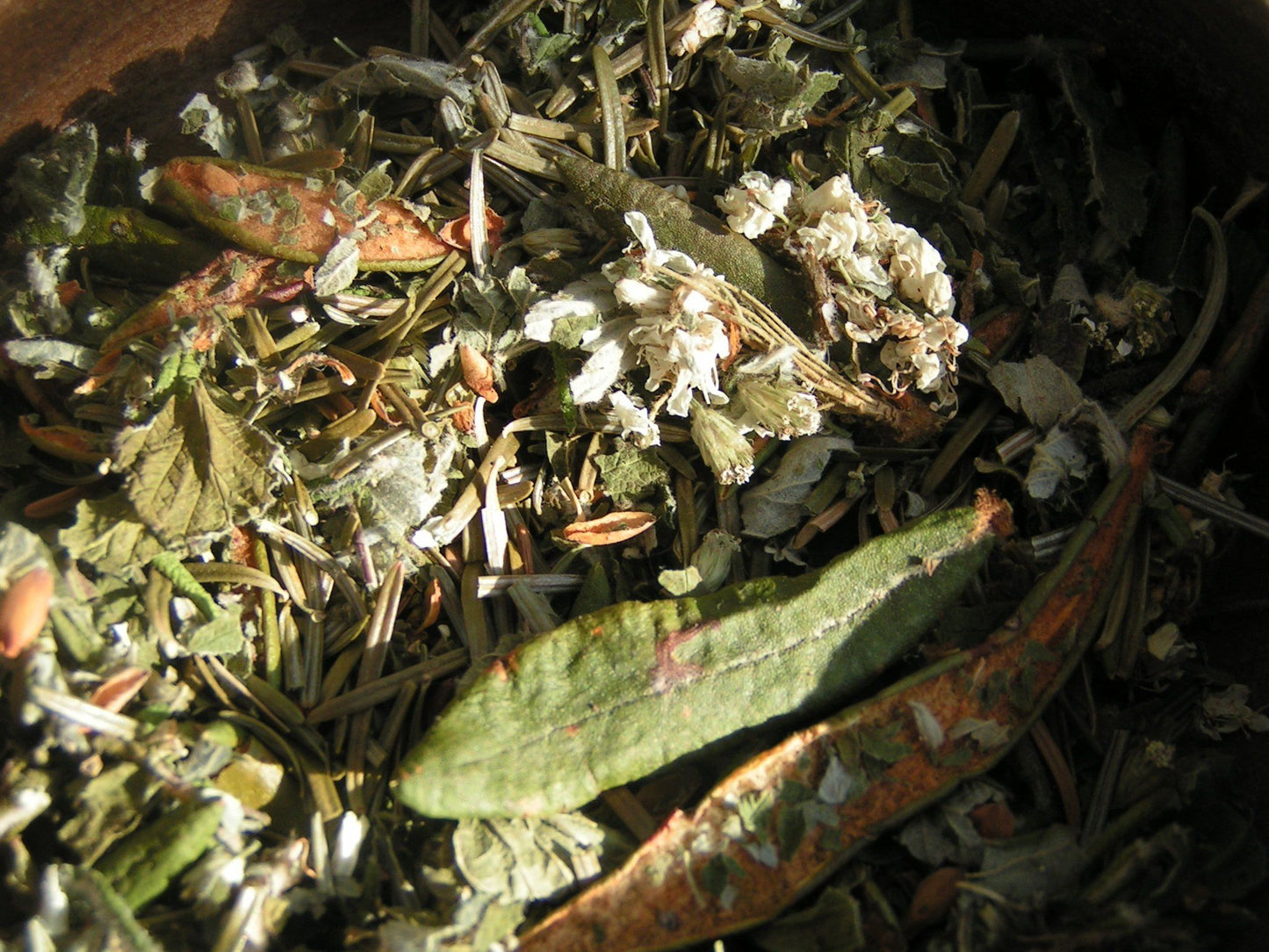 Tisane du Sourcier