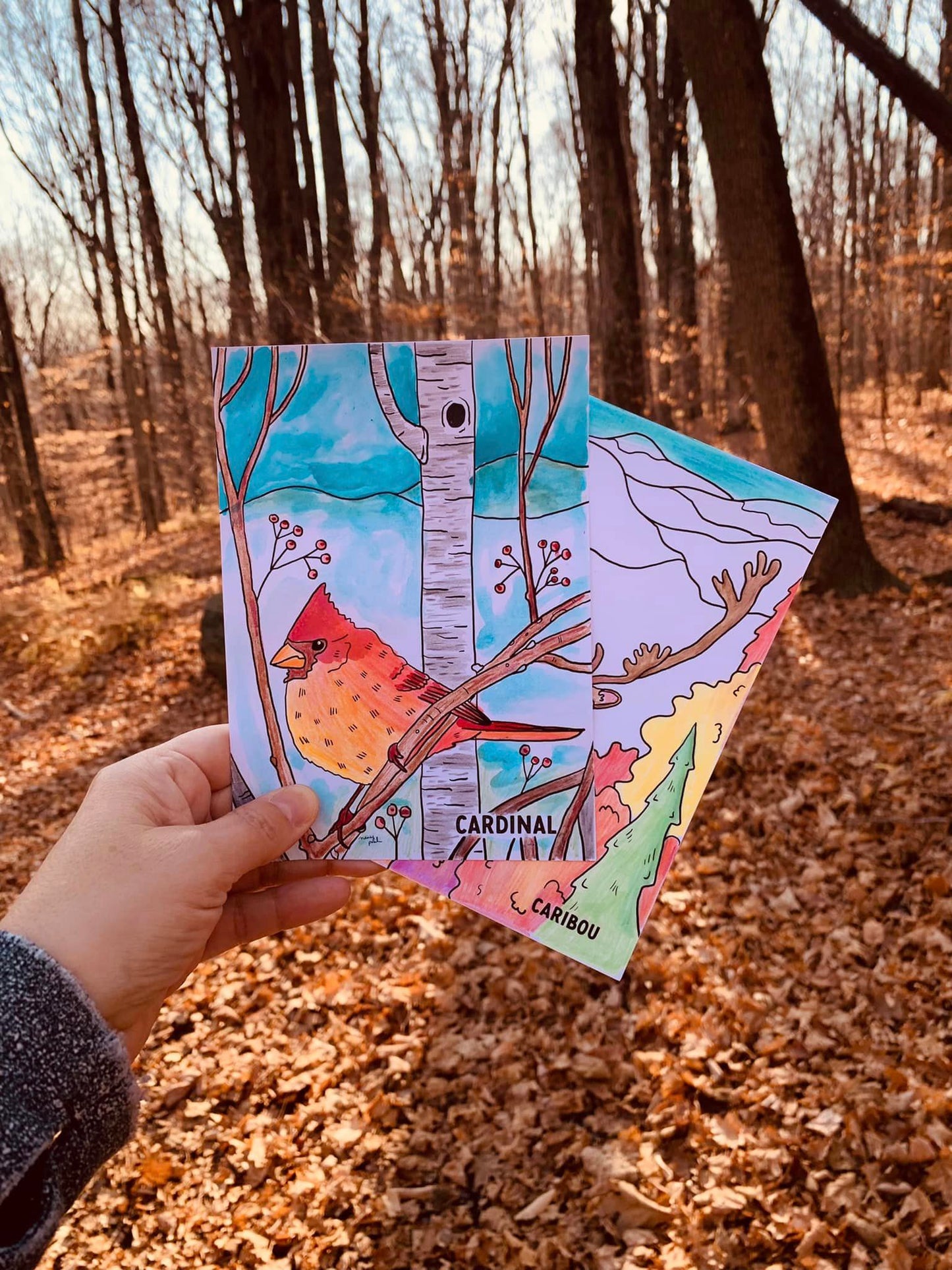 Animaux sauvages du Québec - 10 cartes postales à colorier