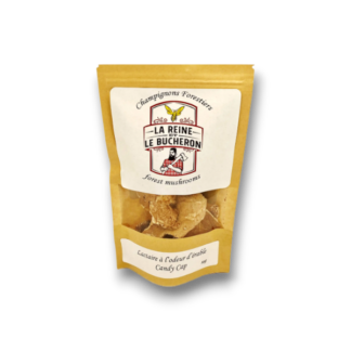 Champignon Lactaire à odeur d’érable séché 15g