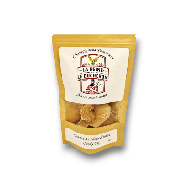 Champignon Lactaire à odeur d’érable séché 15g