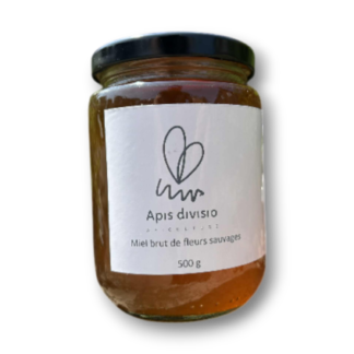 Miel brut de fleurs sauvages 500g