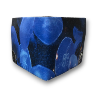 Portefeuille Fond d'océan