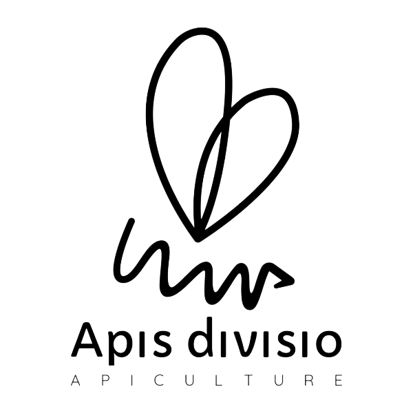 Apis divisio Apiculture